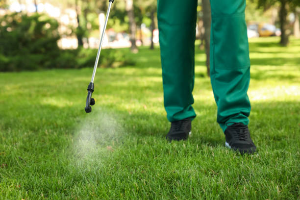 Best Pest Prevention Services  in Loveland, CO