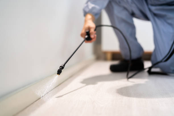 Professional Pest Control in Loveland, CO
