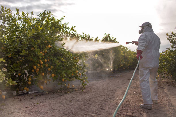 Best Pest Control Near Me  in Loveland, CO