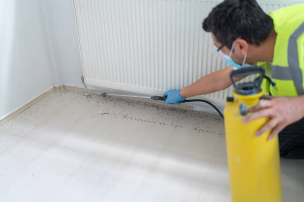Best Commercial Pest Control Services  in Loveland, CO